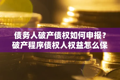 北京债务人破产债权如何申报？破产程序债权人权益怎么保障？