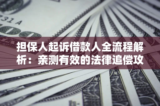 北京担保人起诉借款人全流程解析：亲测有效的法律追偿攻略