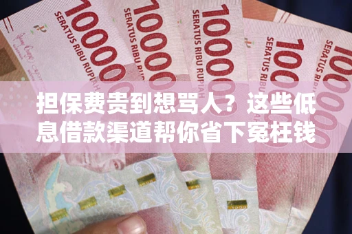 北京担保费贵到想骂人？这些低息借款渠道帮你省下冤枉钱