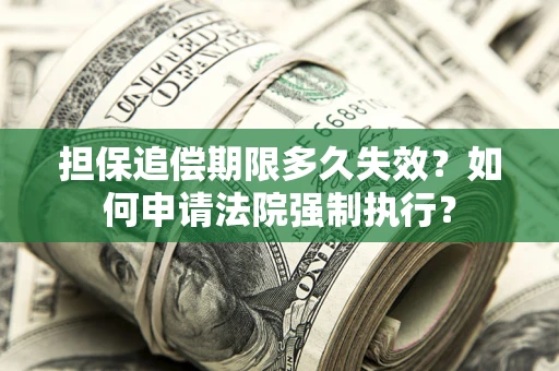 北京担保追偿期限多久失效？如何申请法院强制执行？
